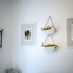 Apartamento Casa Do Zézêras *