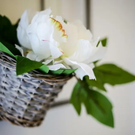 Casa Do Zezeras Apartment Nazaré