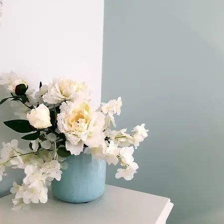 Casa Do Zezeras Apartment