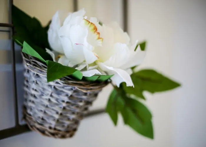 Casa Do Zezeras Апартаменты Назаре